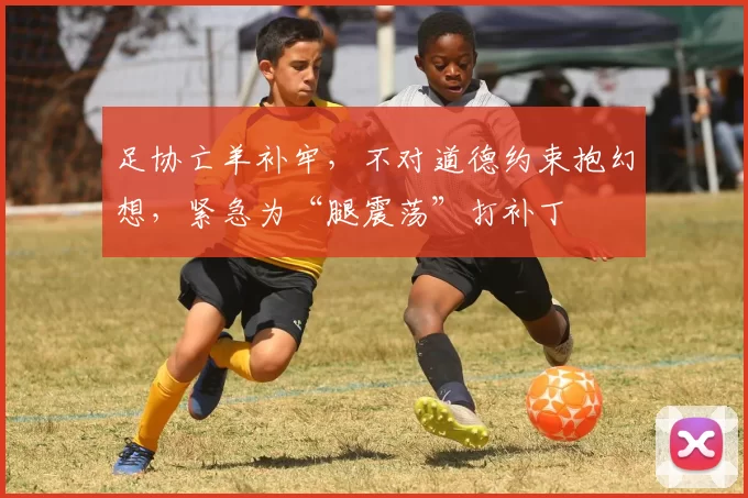 足协亡羊补牢，不对道德约束抱幻想，紧急为“腿震荡”打补丁