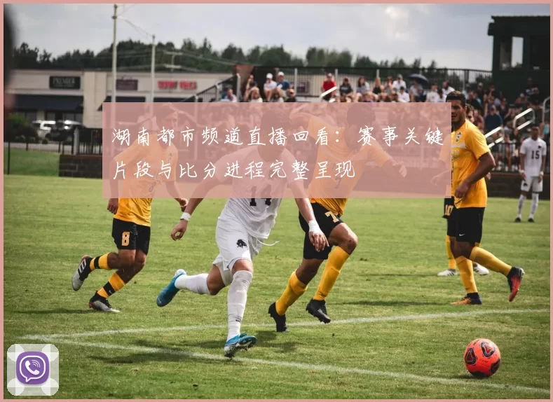 湖南都市频道直播回看：赛事关键片段与比分进程完整呈现