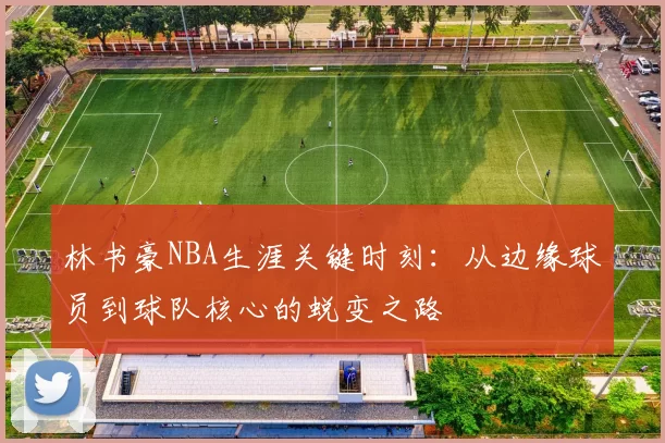 林书豪NBA生涯关键时刻：从边缘球员到球队核心的蜕变之路
