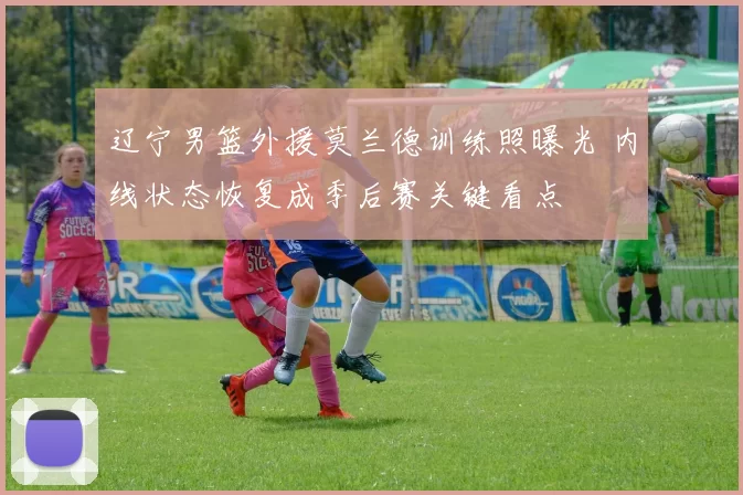 辽宁男篮外援莫兰德训练照曝光 内线状态恢复成季后赛关键看点