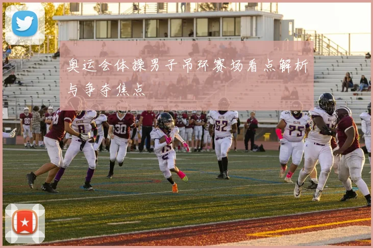 奥运会体操男子吊环赛场看点解析与争夺焦点