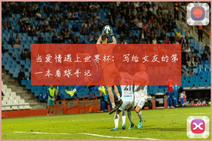 当爱情遇上世界杯:写给女友的第一本看球手记