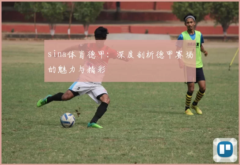 sina体育德甲：深度剖析德甲赛场的魅力与精彩