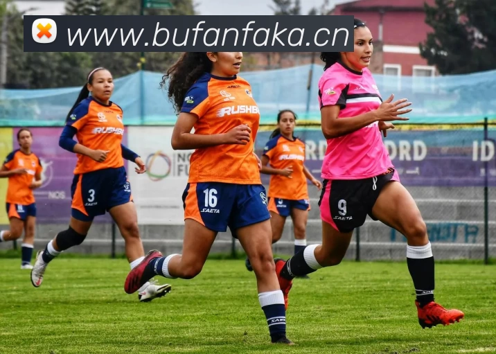 开云·kaiyun体育(中国大陆)官方网站 登录入口平台生态图